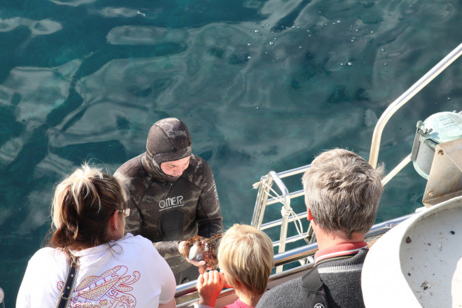 Sea Aquarium Istra Rabac