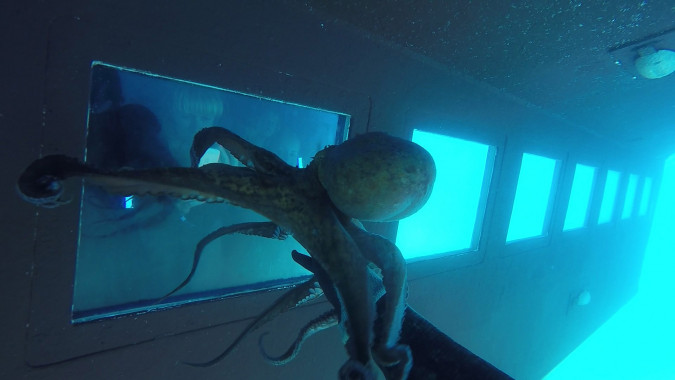 Sea Aquarium Istra Rabac